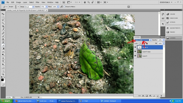 Creation of Lonely leaf: Step 3